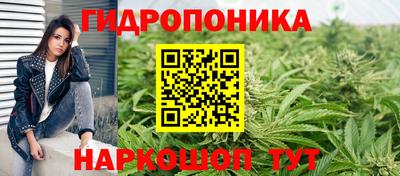 амф Камышлов