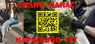 амф Камышлов