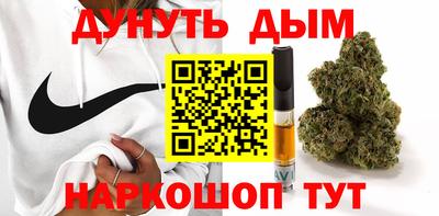 амф Камышлов