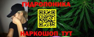 PSILOCYBIN Кандалакша