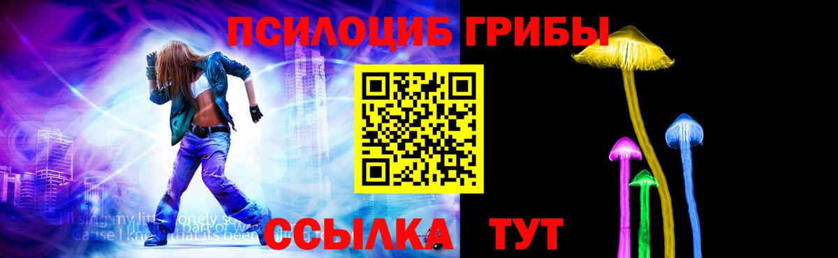 Псилоцибиновые грибы GOLDEN TEACHER Котлас